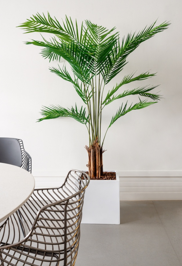 PLANTE ARTIFICIELLE ARECA - TUBO BURO