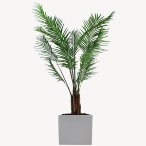 PLANTE ARTIFICIELLE ARECA - TUBO BURO