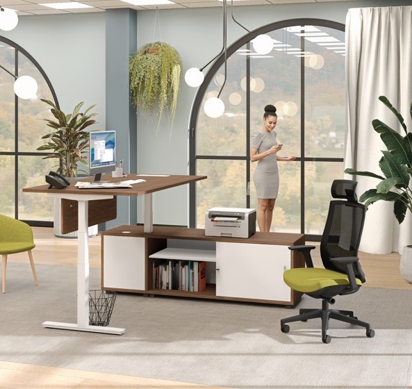 BUREAU ENVOL MANAGER - TUBO BURO